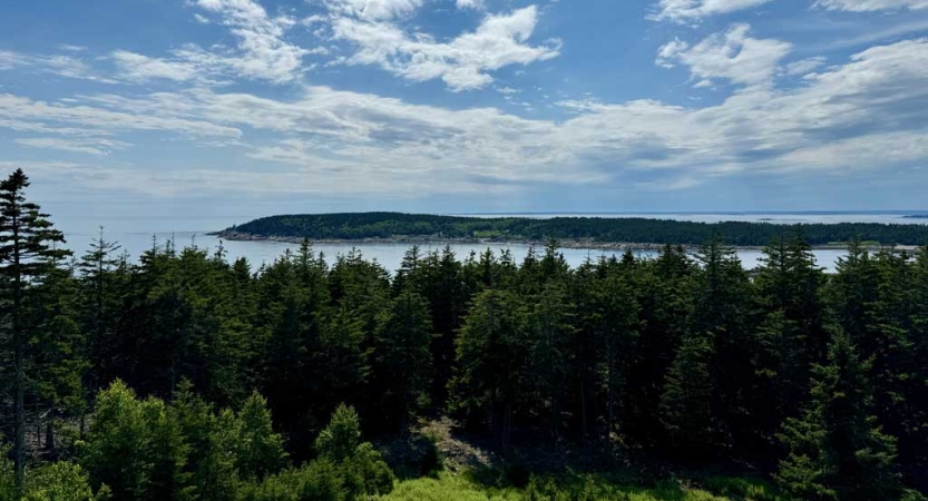 From above, a body of water flows between two piece of green land. 